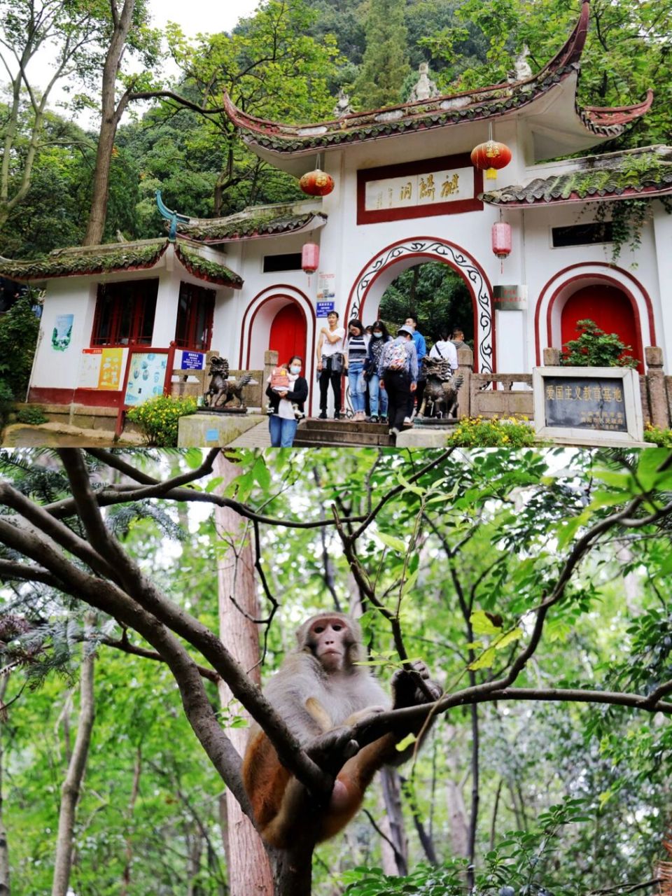 黔灵山公园麒麟洞 麒麟洞在贵阳市黔灵山公园内檀山涧上,是公园5元大