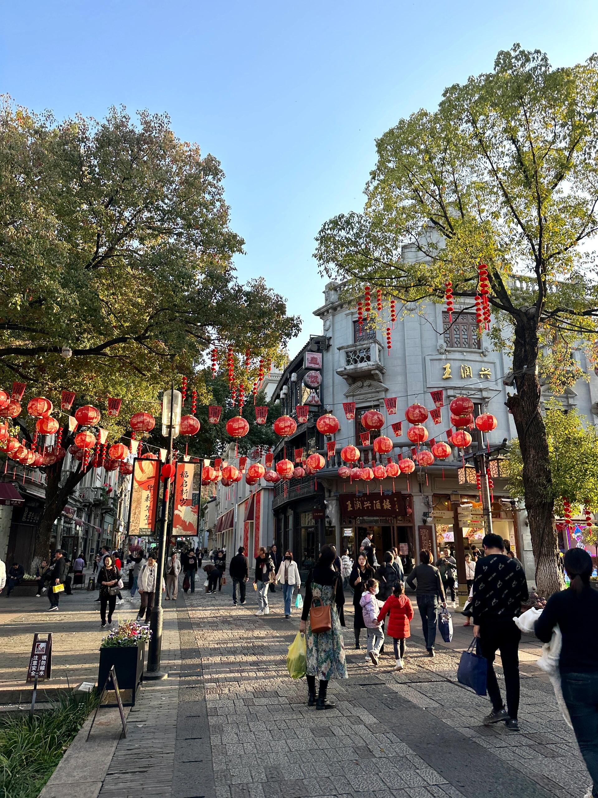 杭州步行街河坊街图片