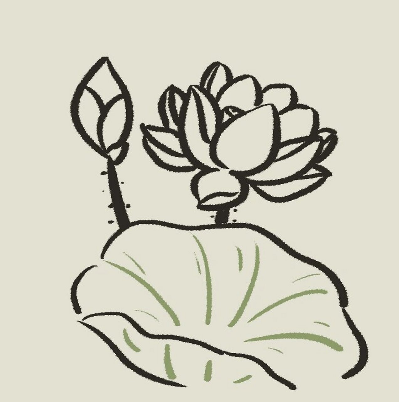 美丽的荷花(简笔画步骤) 夏至晴好日渐长,万物繁盛绿成裳