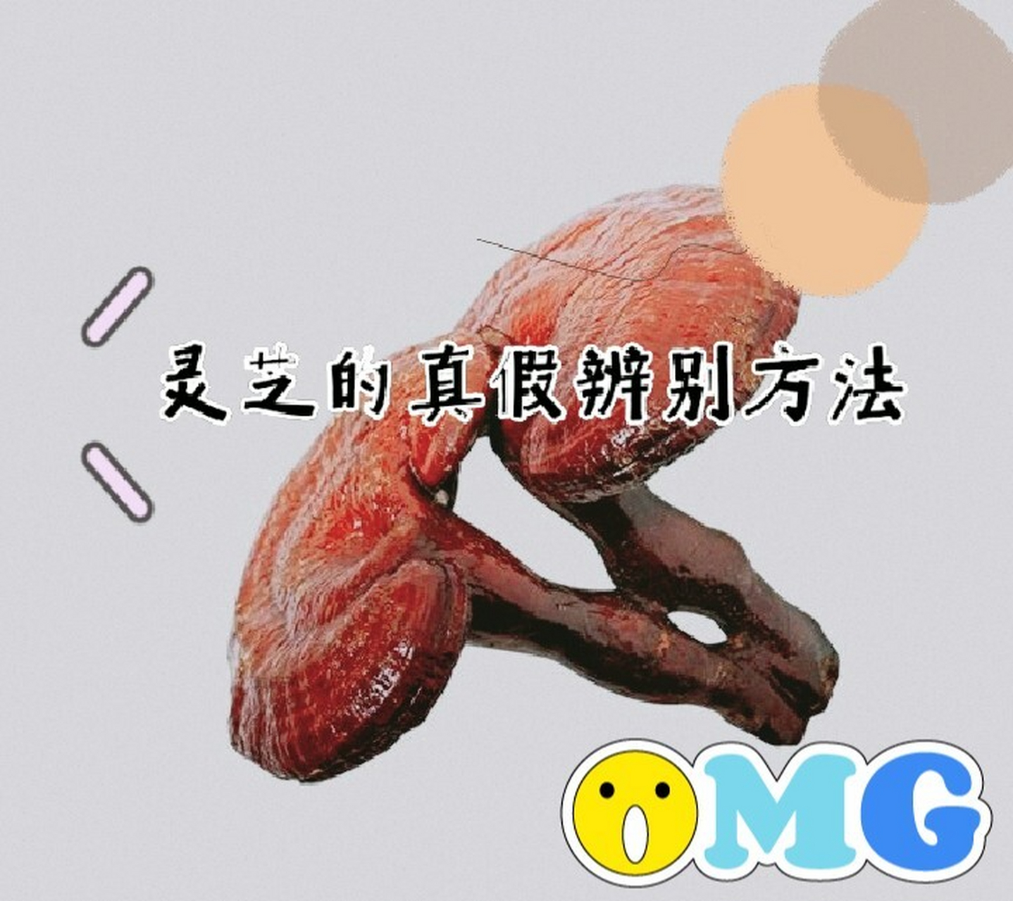 【干货】最全的灵芝90真假辨别方法92 99灵芝自古以来都被奉为