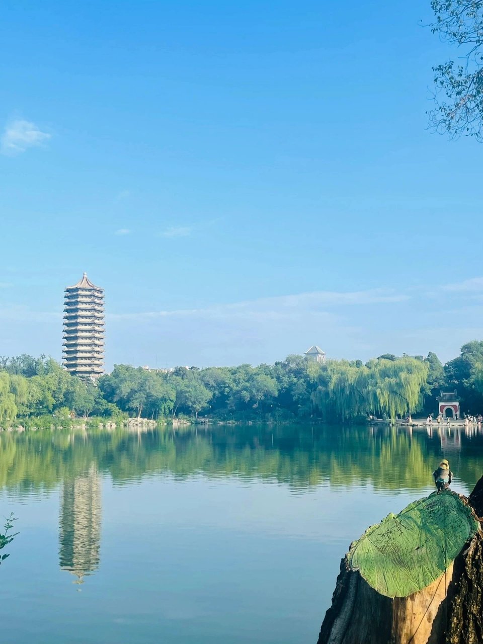96旅游参观北京大学 96 旅游参观北京大学 96 旅游参观北京大学
