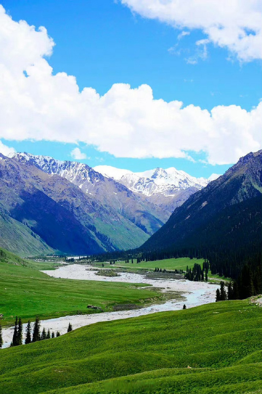 伊犁河谷,夏日之梦! #早安