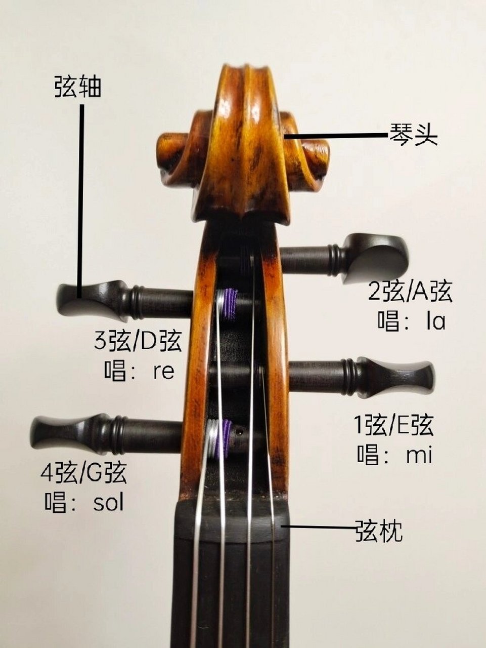 小提琴定弦图片