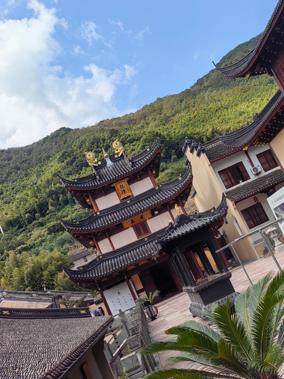 象山等慈禅寺 虔诚的祈祷