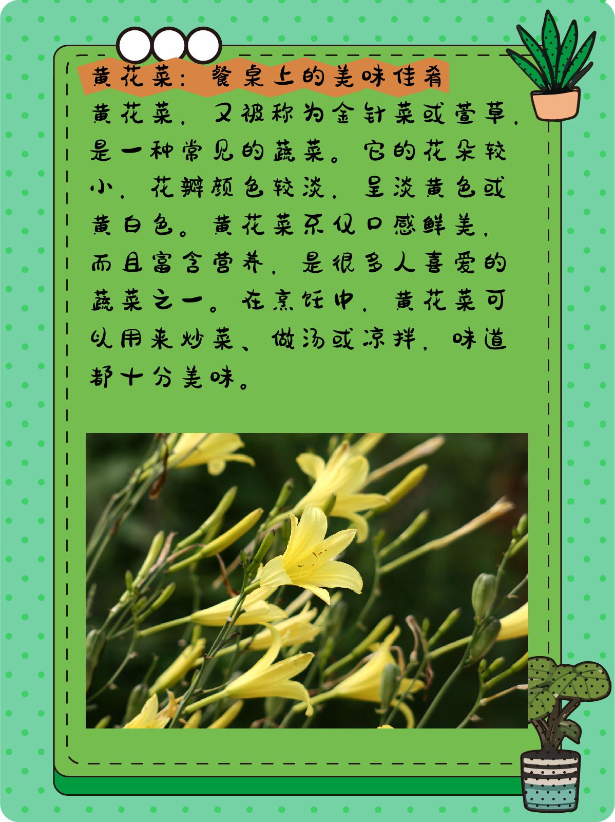萱草花和黄花菜区别 1,萱草花:花朵的优雅舞者 萱草花,又名忘忧草,它