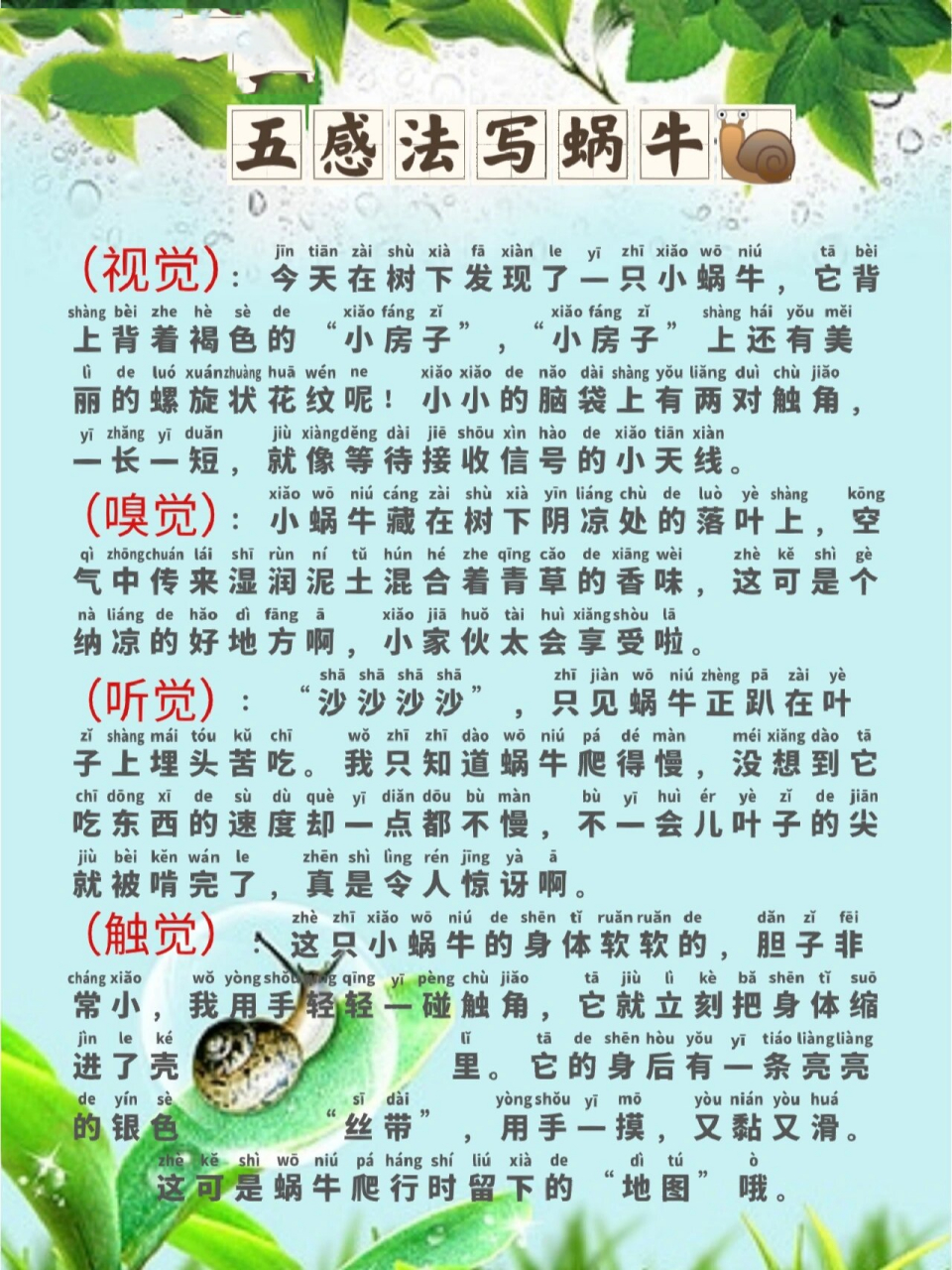 蜗牛昆虫备忘录图片