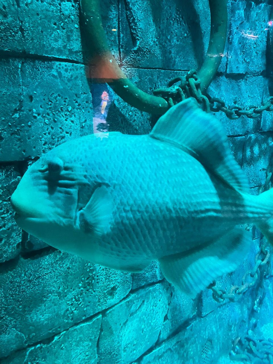 沈阳遛娃 k11海洋探索中心 乐高探索中心 第一次来k11真心觉得这边