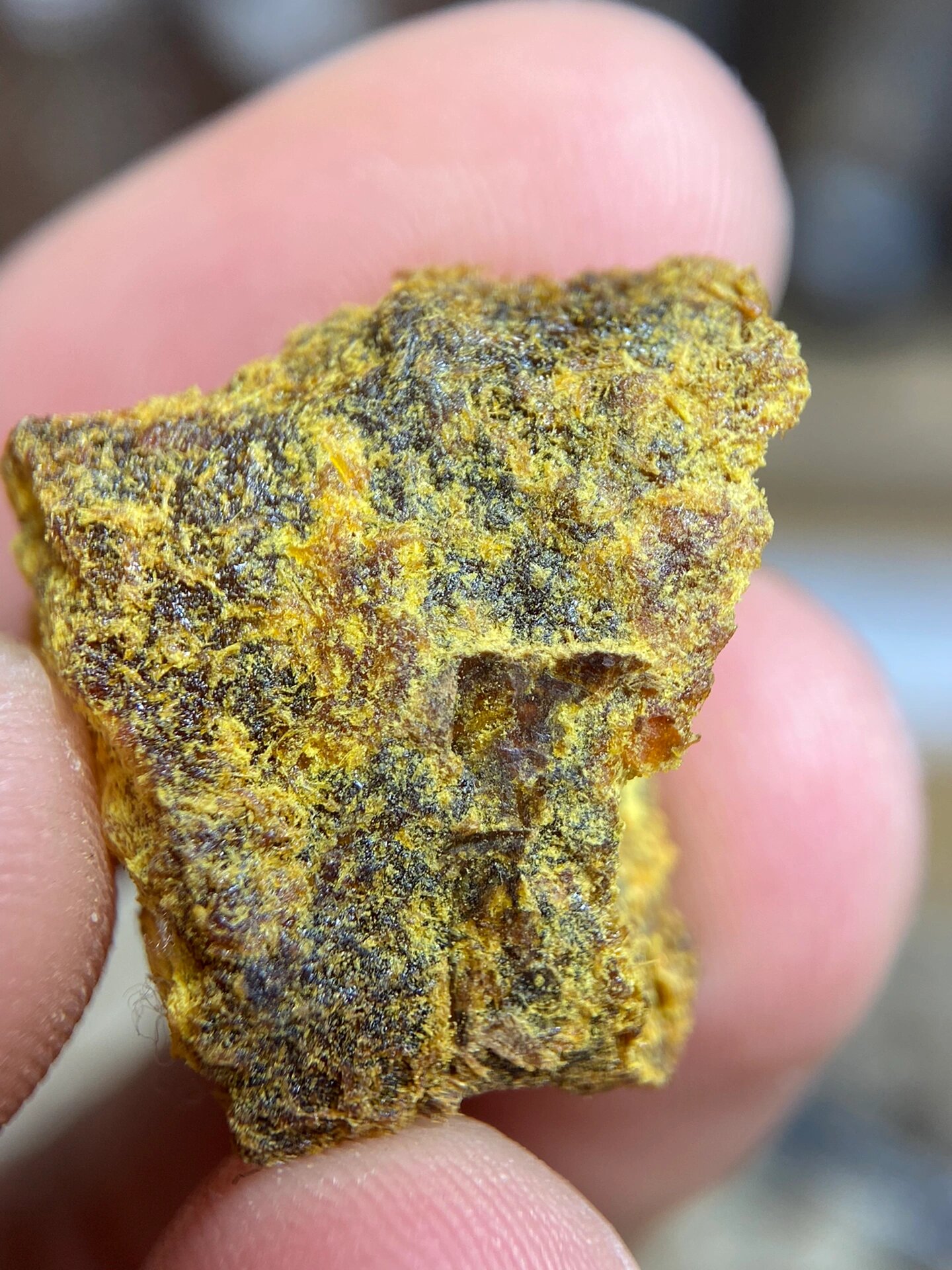 贡木沉香结晶体 高端货,机缘巧合之下寻得一根印贡沉香油脂结晶料