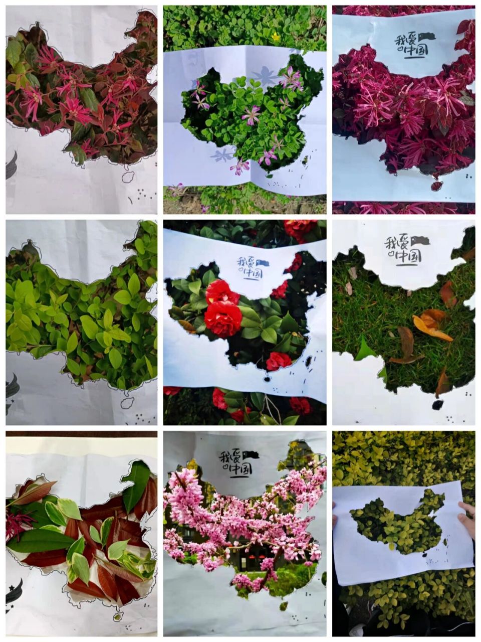 我们几个孩子,脱掉棉袄, 冲出家门,奔向田野,去寻找春天.