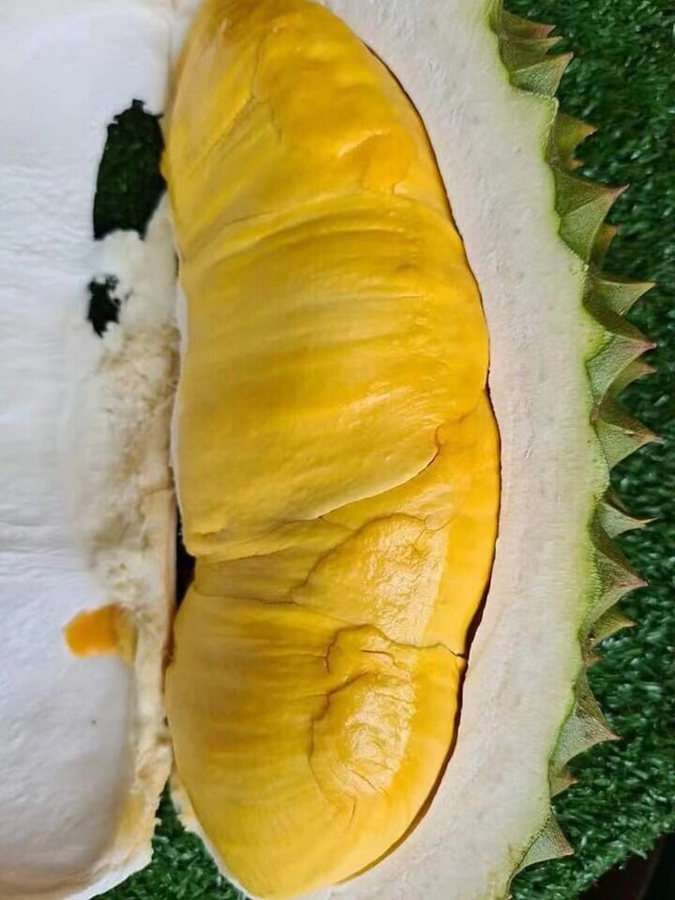 泰国榴莲客都很喜欢的尖竹汶系列 本批空运新增尖竹汶2号系列 每箱12