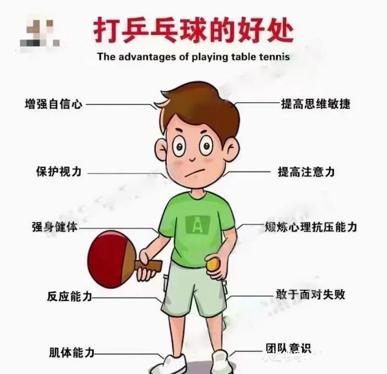 打乒乓球可以起到全身锻炼,在打乒乓球的时候通过上肢的摆动和腰部