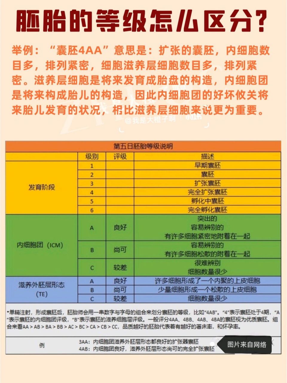 疑问71:我的胚胎好吗?植入的成功率高吗?