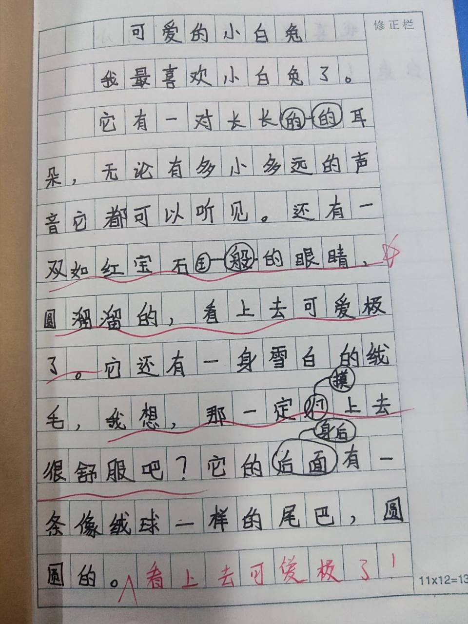 小练笔|《燕子》写小动物的外形特点 写一段你最喜欢的小动物的外形