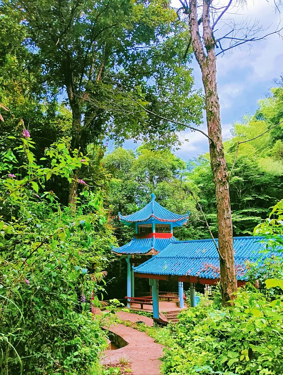 崇义县aaaa级景区阳岭兰溪森林秘境,欢迎您