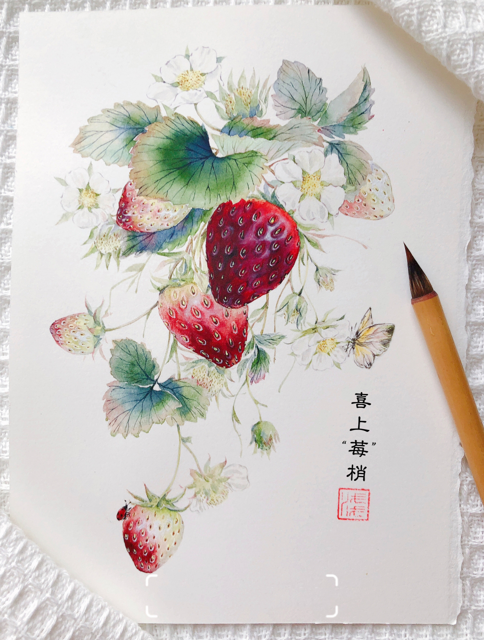 国画草莓作品图片