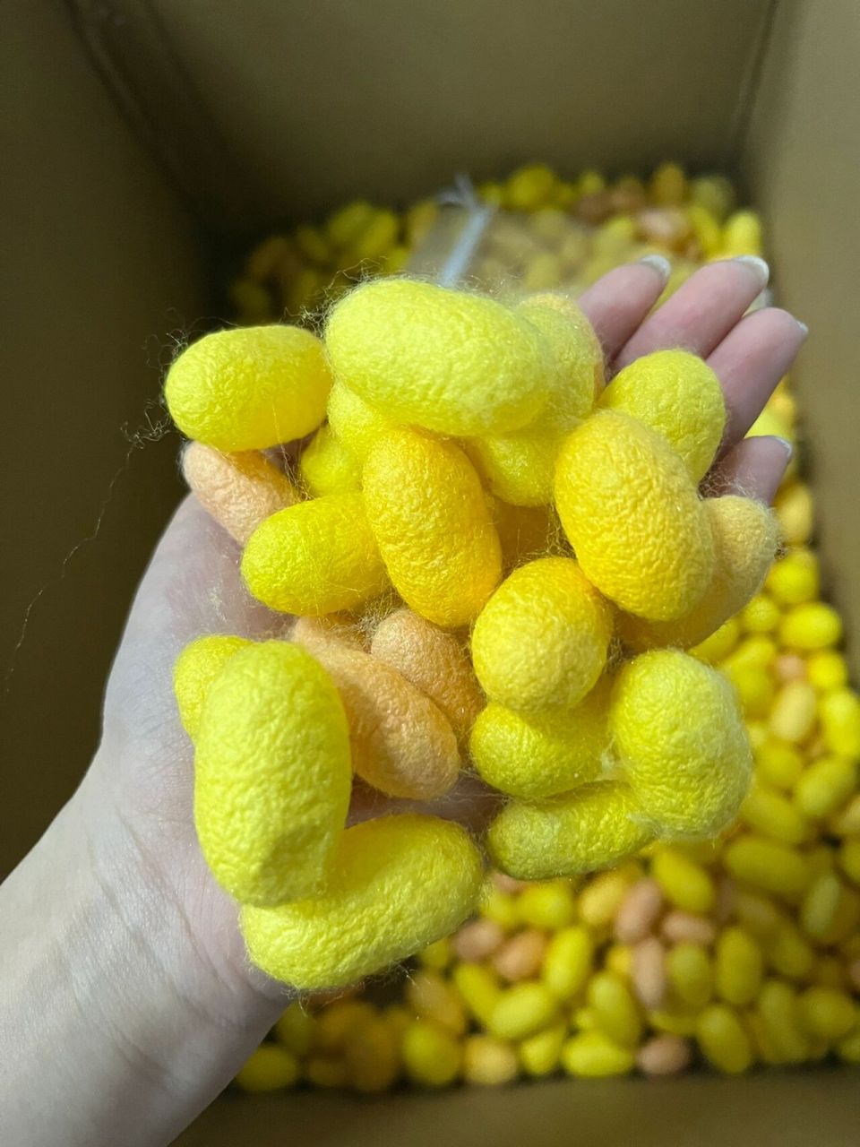 手工 | diy蚕茧工艺品 蚕茧也可以做成创意满满又可爱非凡的q萌工艺品