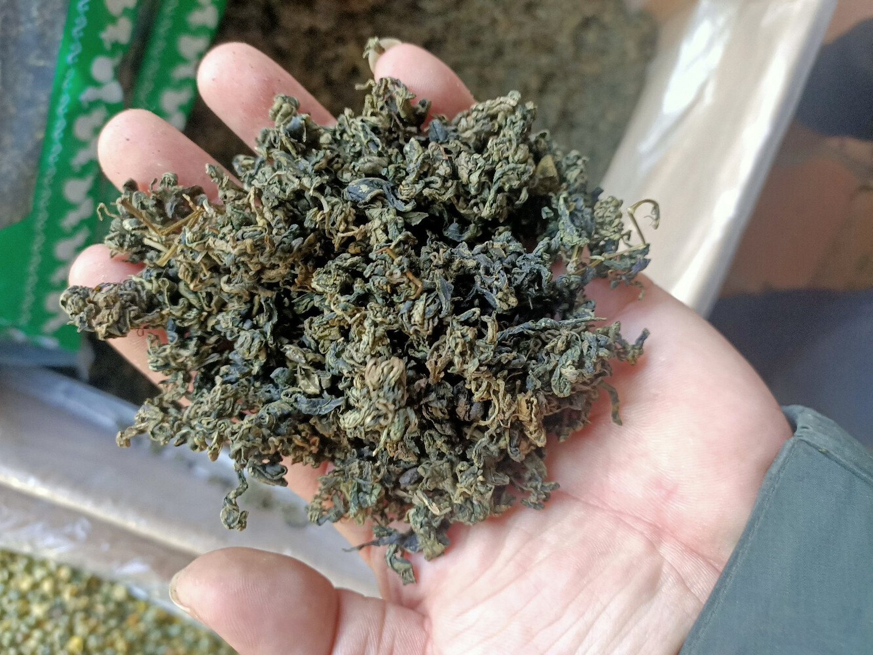 每天一味中药材--绞股蓝茶 绞股蓝茶可以降血脂,提升身体免疫力,调理