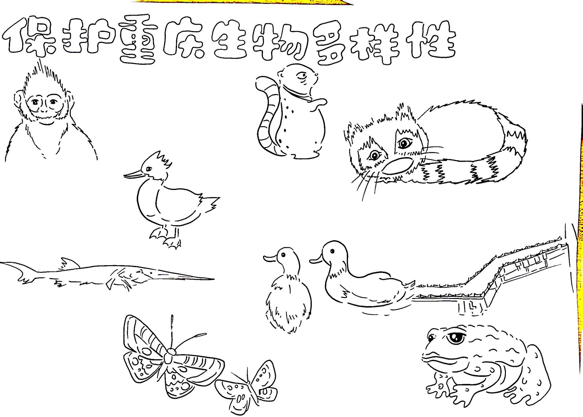 生物多样性自然笔记手抄报