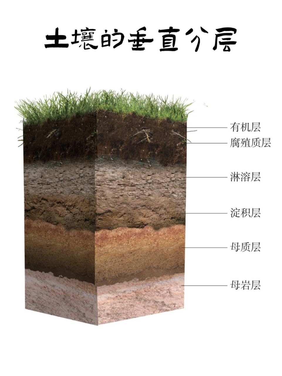 土壤在水中的分层图图片