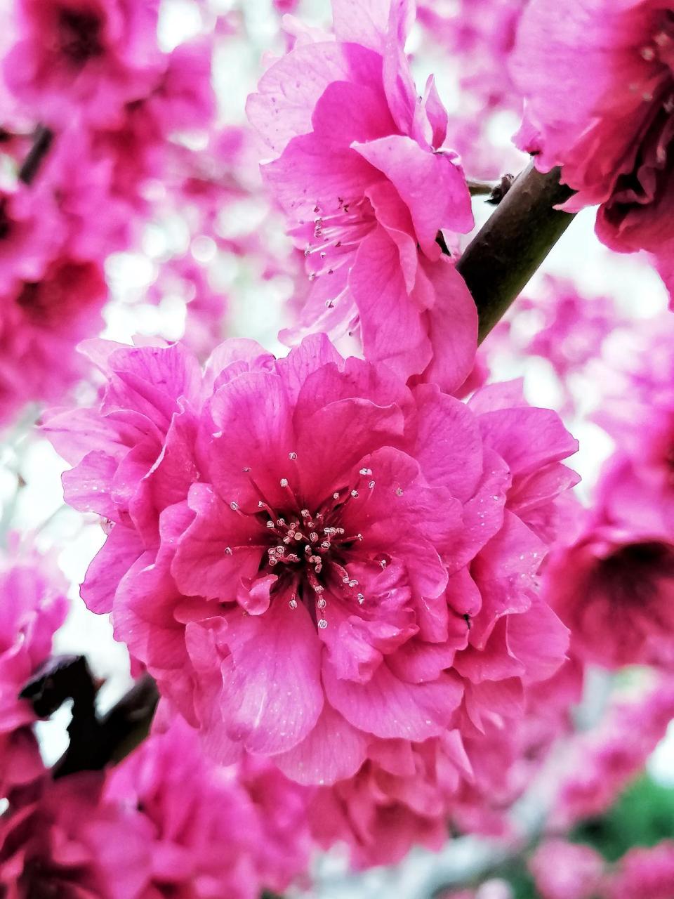 发一张你手机里的风景照片