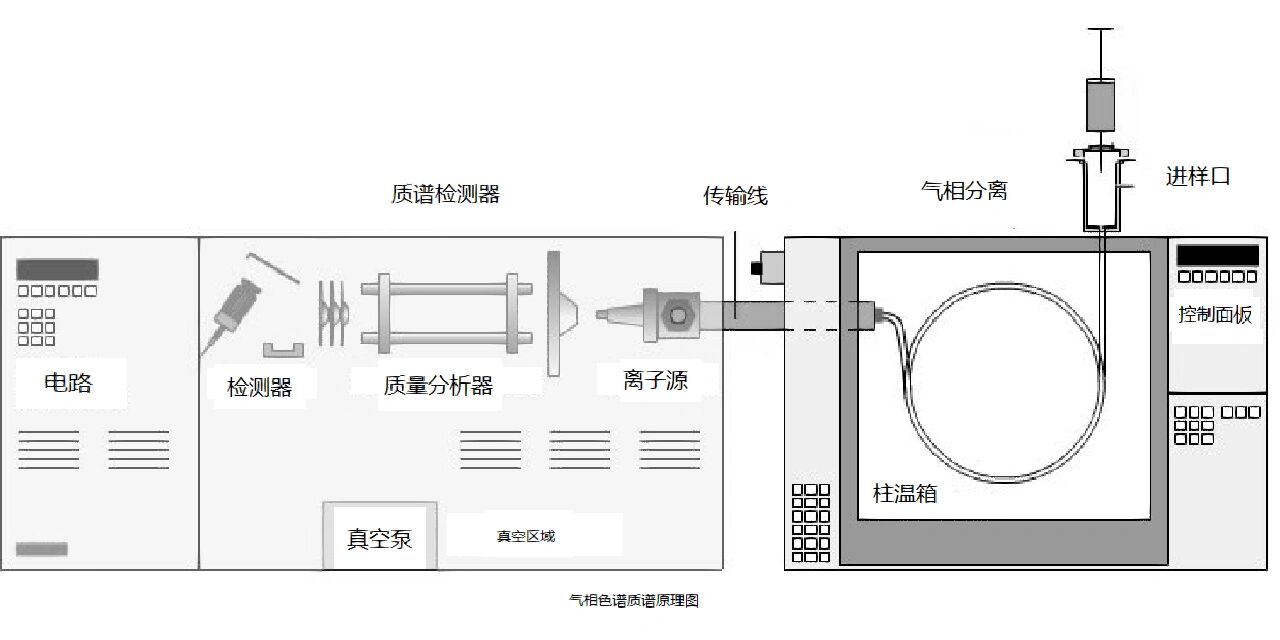 yy.vip易游-气相色谱仪的组成部分及其功能