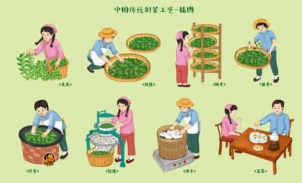 中国六大茶类及主要制作工艺