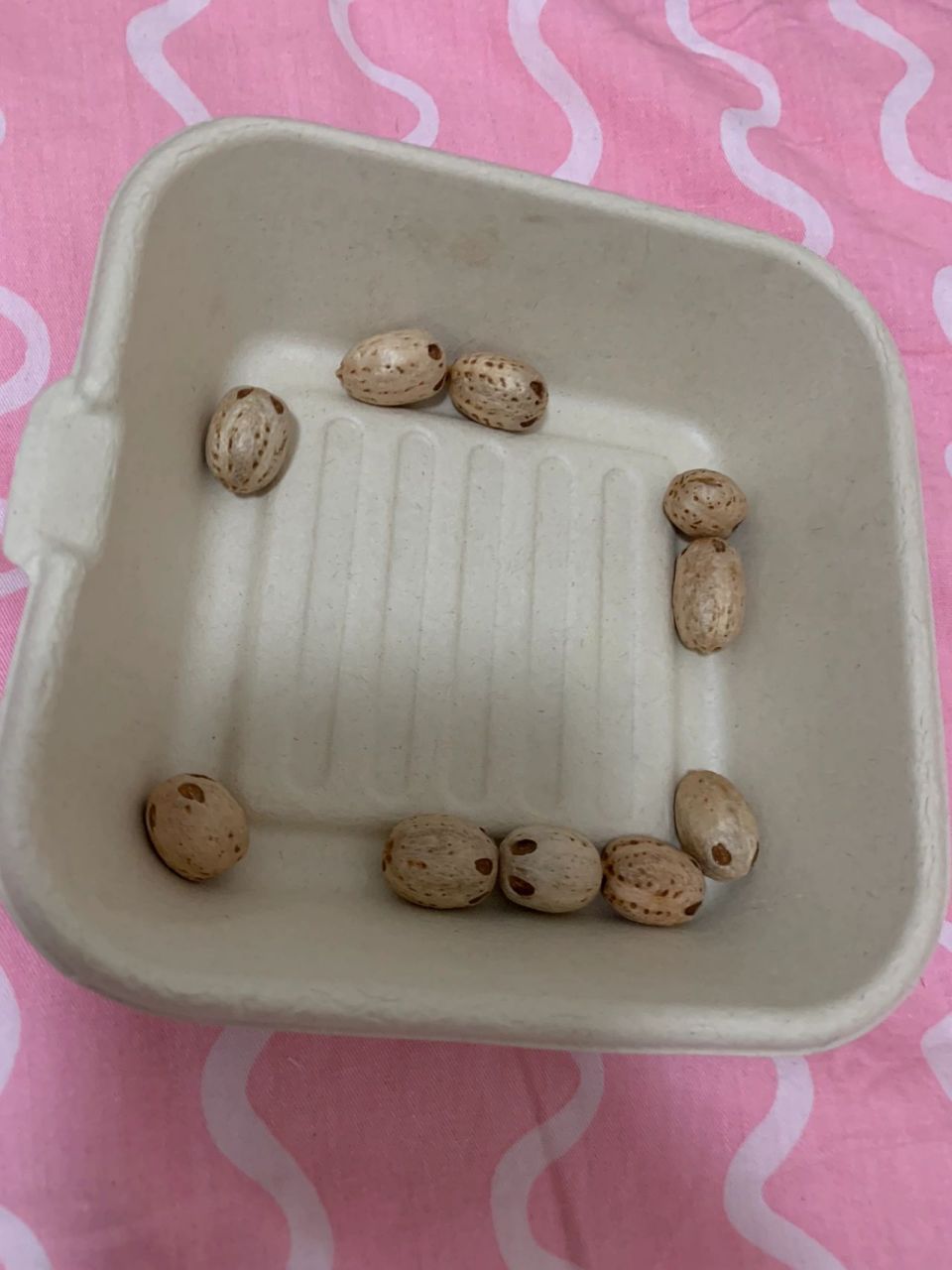 枣核儿可以穿手串?