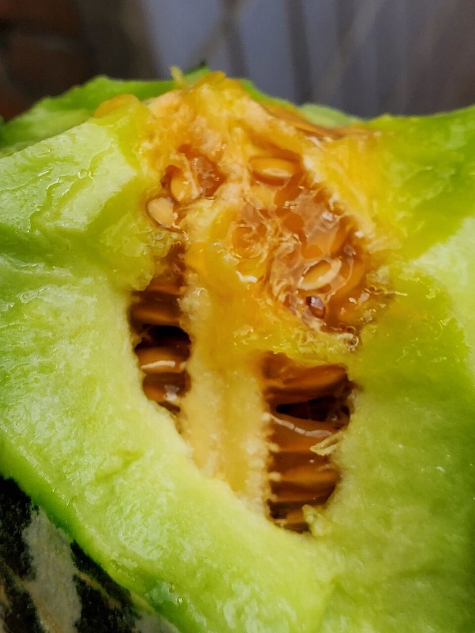 甜蜜生活——甜瓜 常见的甜瓜有好多品种,甜瓜,香瓜,酥瓜.