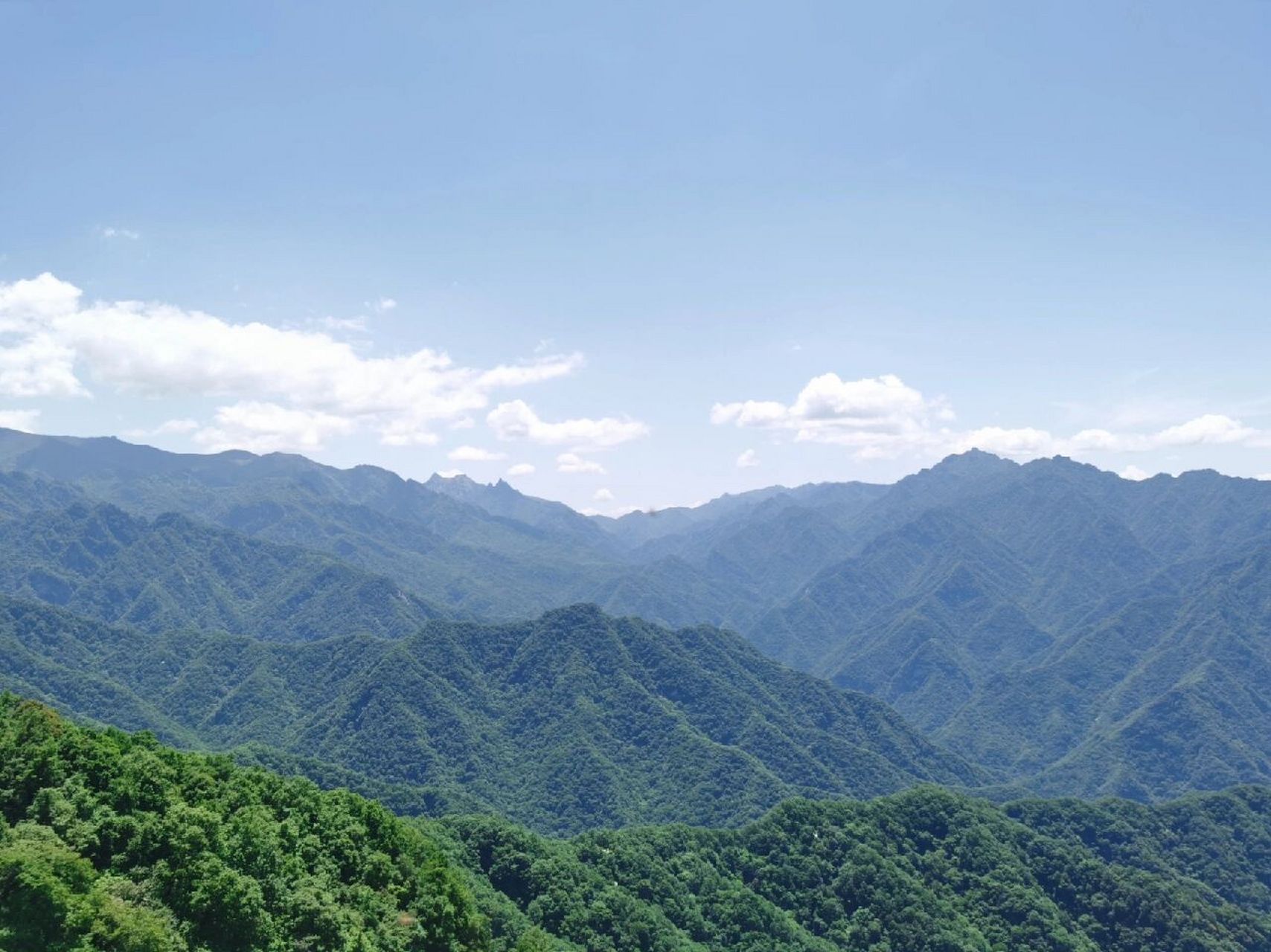 西安秦岭祥峪森林公园|山下玩水,山上看景 今天去了祥峪森林公园,是个