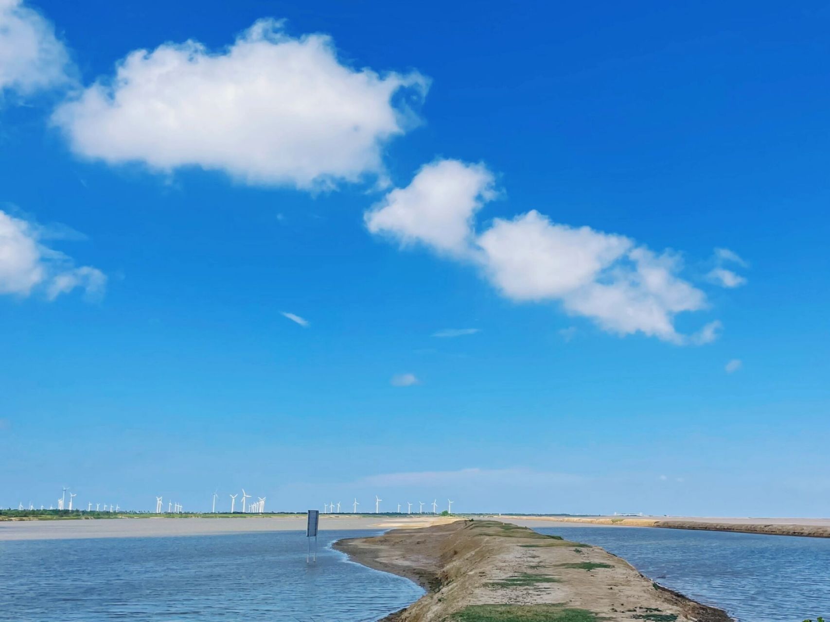 去盐城看麋鹿看这一篇就够了 盐城大丰中华麋鹿园77黄海野鹿荡一