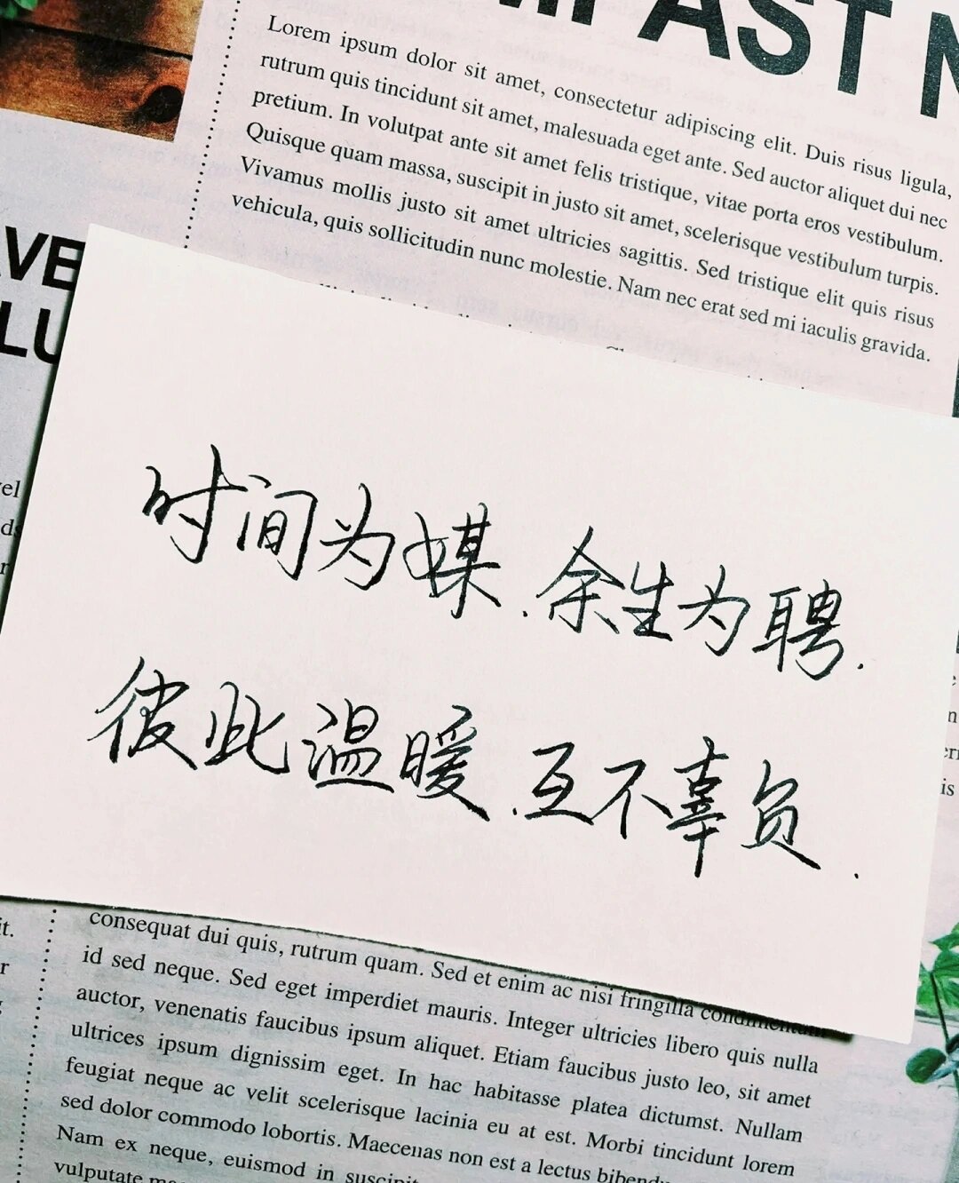 八字情话,字字浪漫