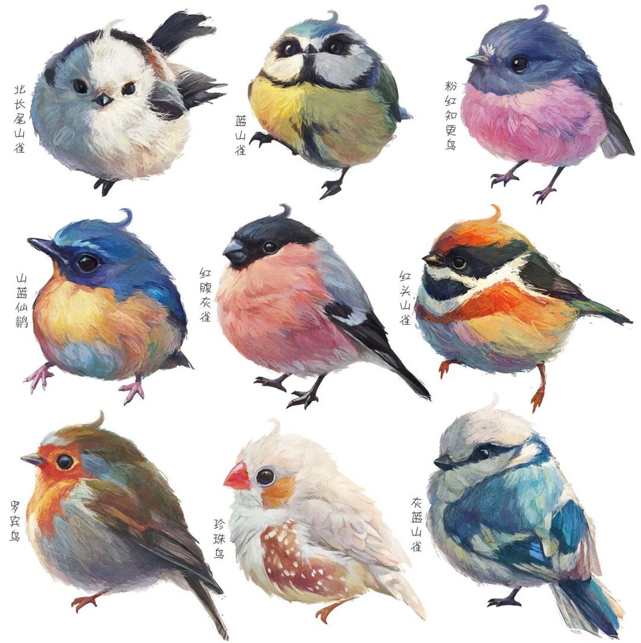 一只肥啾92【七彩文鸟】 #画个简笔画# #我是原创插画师# #笔记灵感