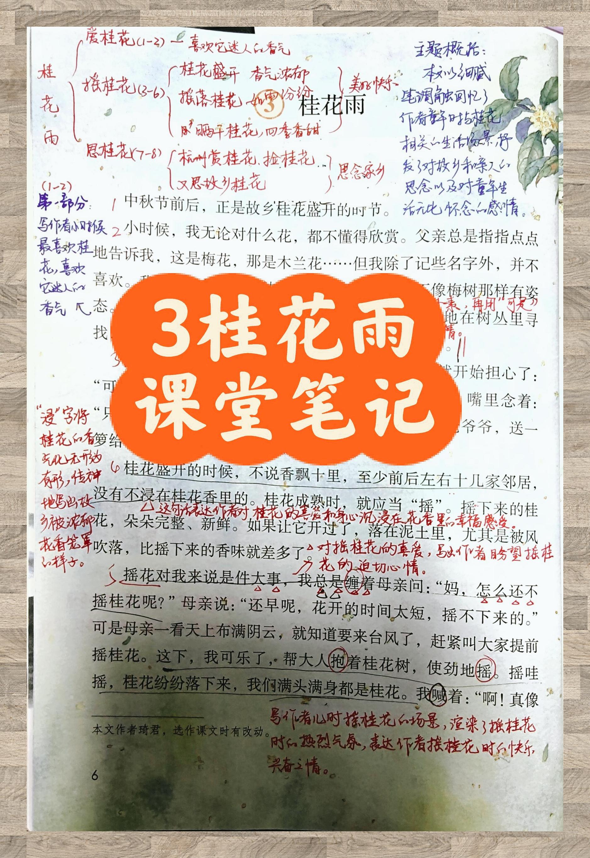 五上语文 《桂花雨》课堂精华笔记