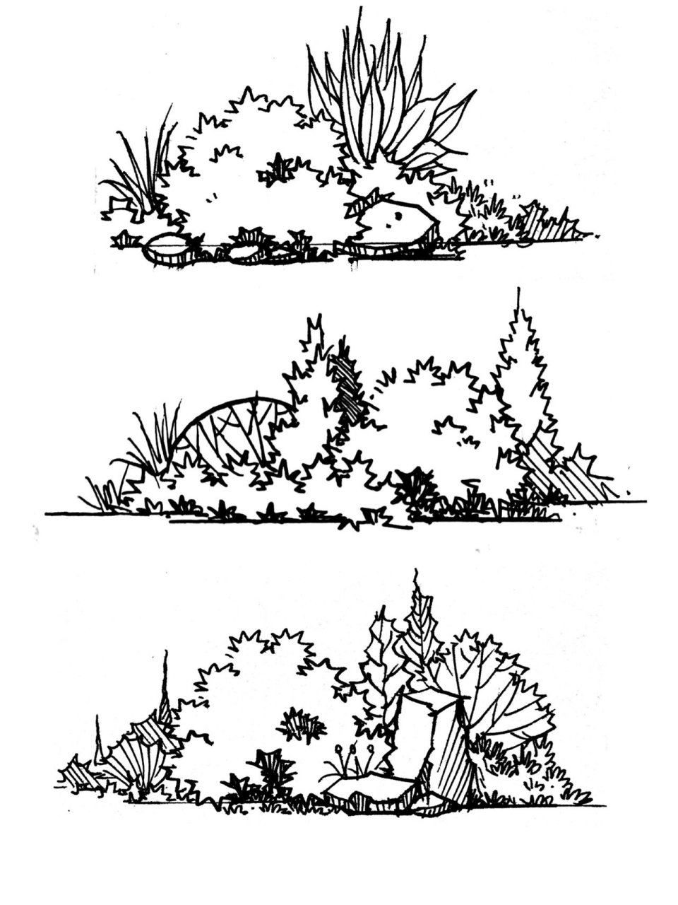 植物组合手绘线稿图片