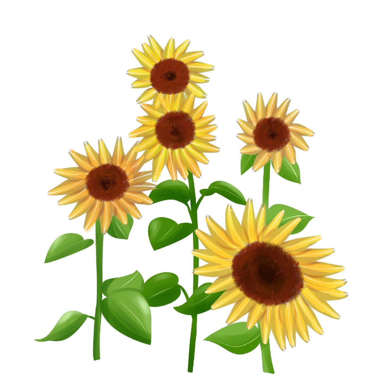 97那么这款卡通向日葵素材一定不