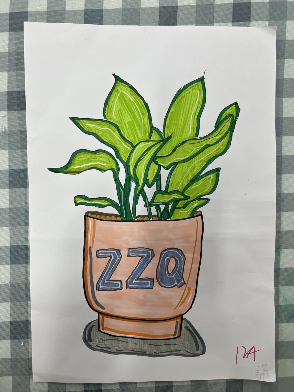 人美版 小学美术 四年级下册《植物写生》