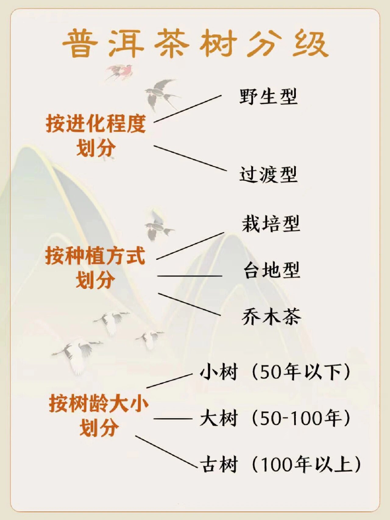 那今天讲一下普洱茶原料基本的分级逻辑为:同一个产区,产地