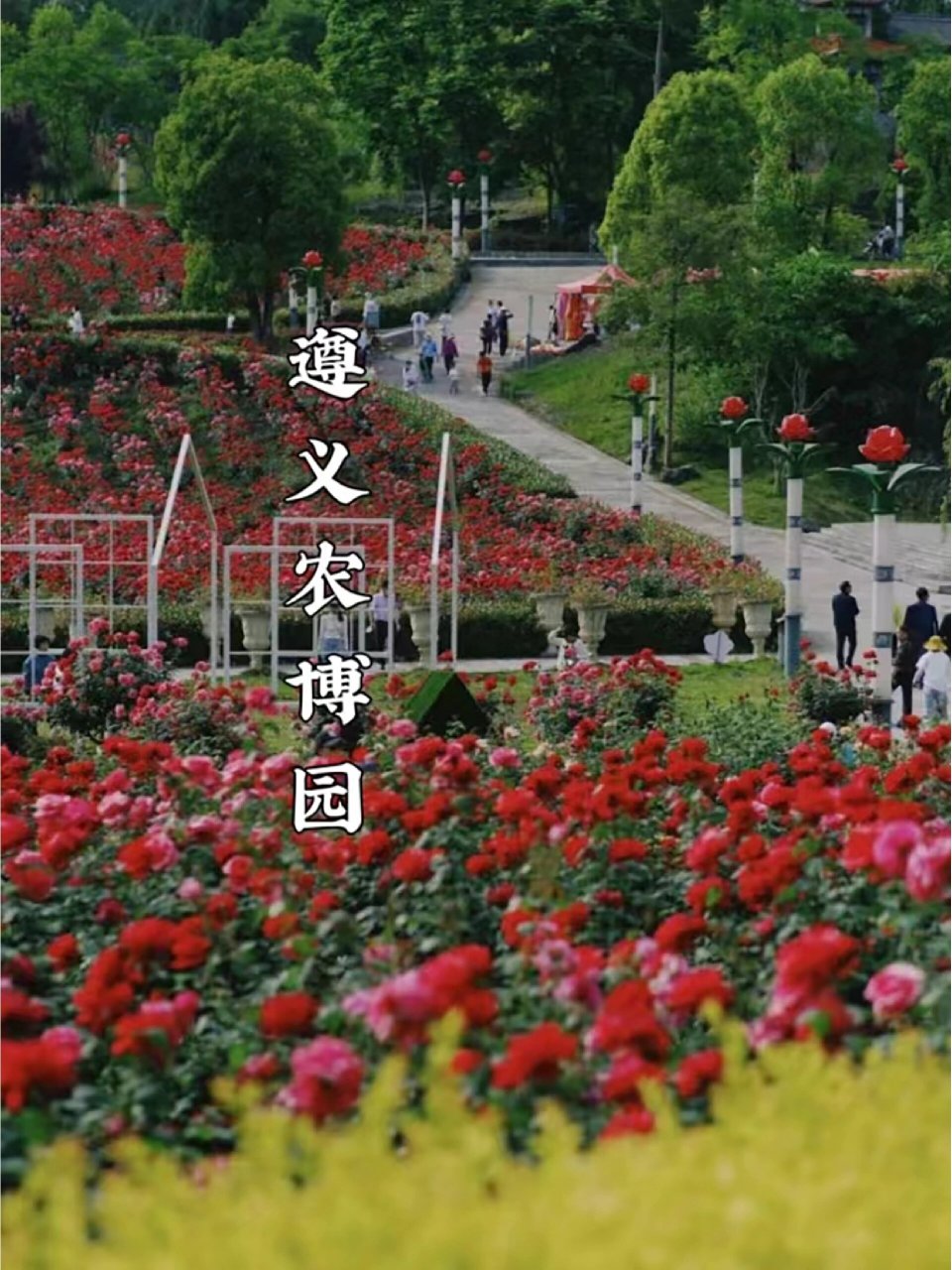 贵阳周边游||遵义农博园 如果你最近不知道去哪里玩的话,可以考虑看看