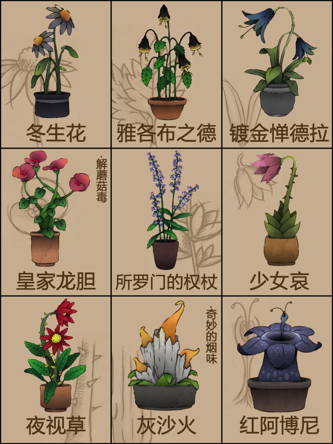 奇异花园77种植物全图鉴