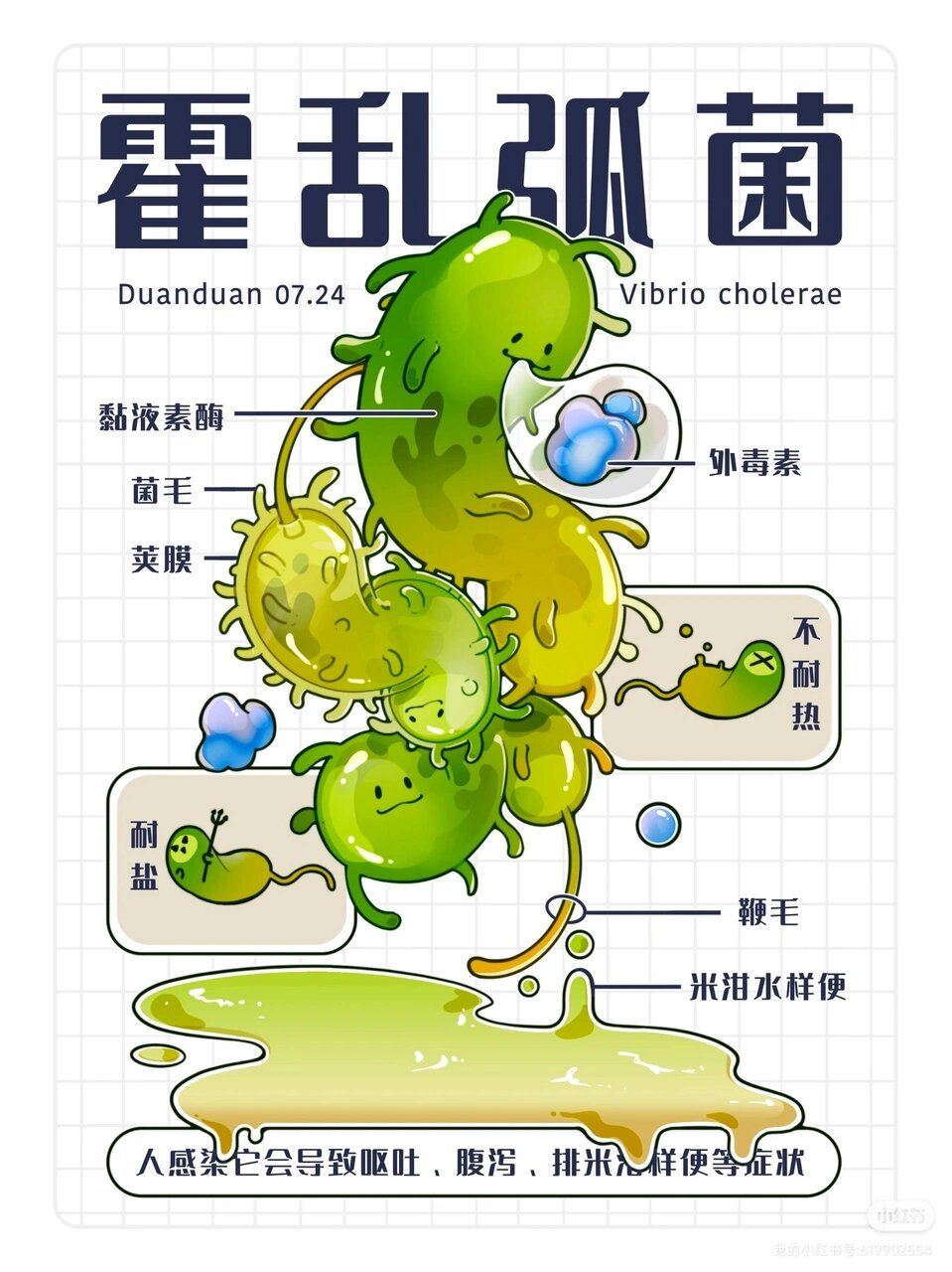 科普漫画优秀学员作业——微生物篇