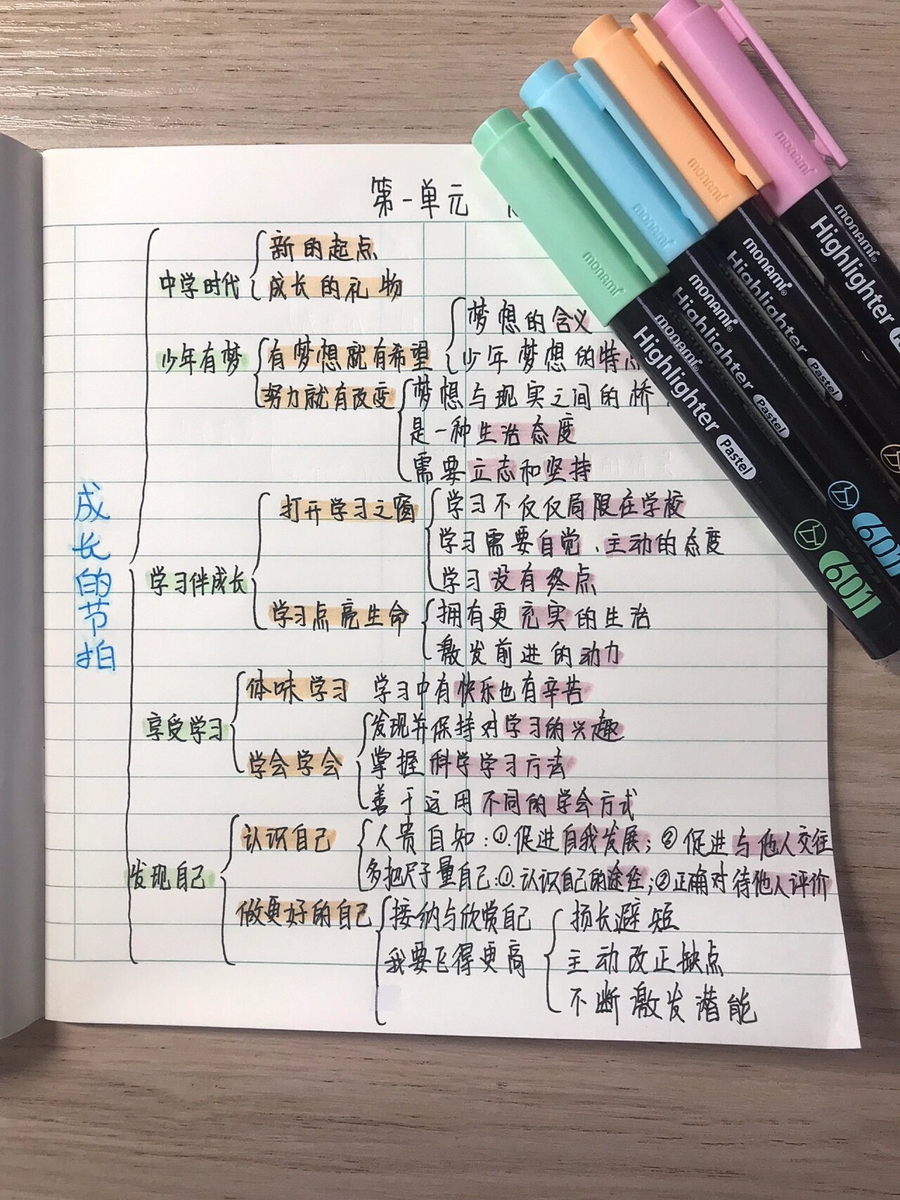 七上政治成长的节拍思维导图