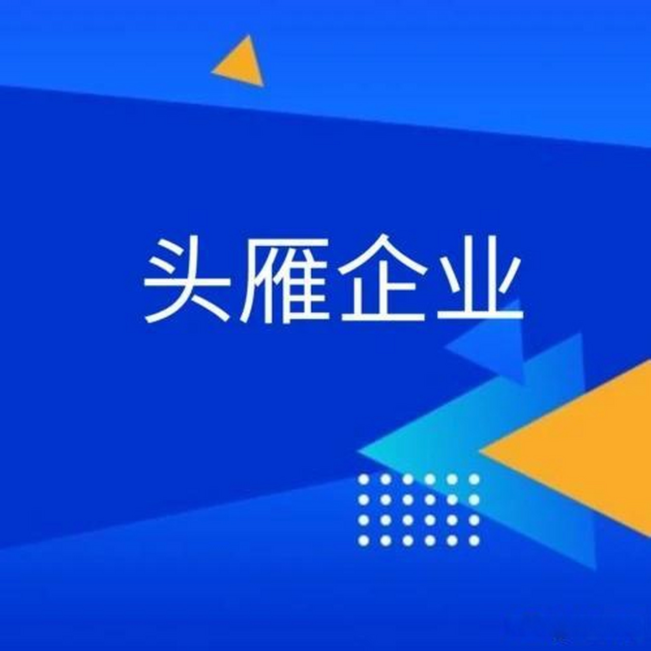 洛陽15家企業入選2023年河南省製造業頭雁企業 > 本臺洛陽8月1日消息