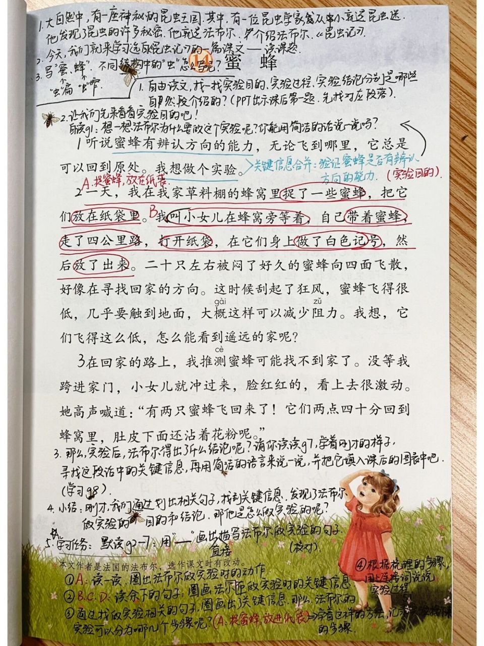 第一课时备课 #三年级语文# #小学语文备课# #蜜蜂# #蜜蜂备课笔记