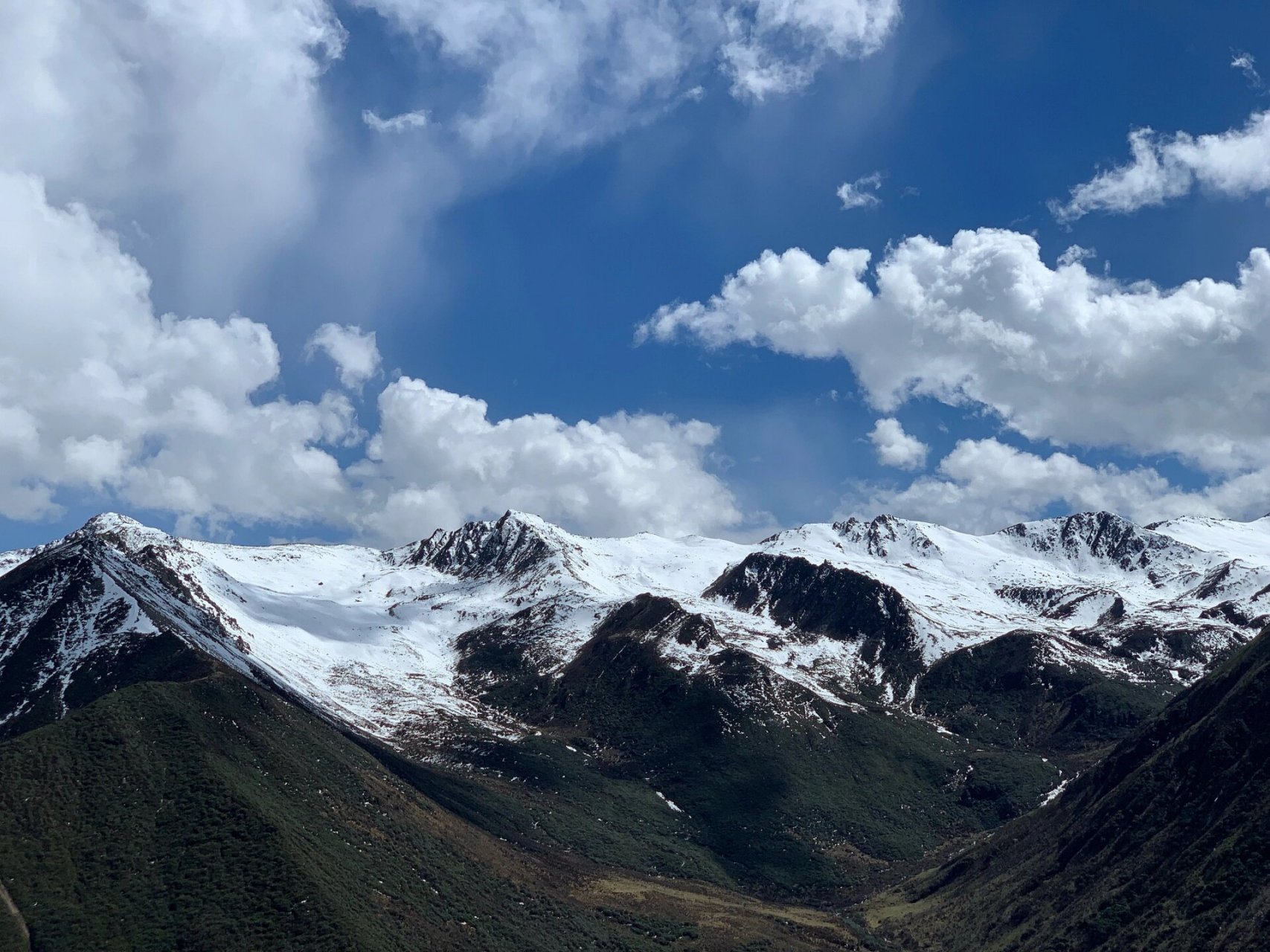 巴朗山垭口海拔4480