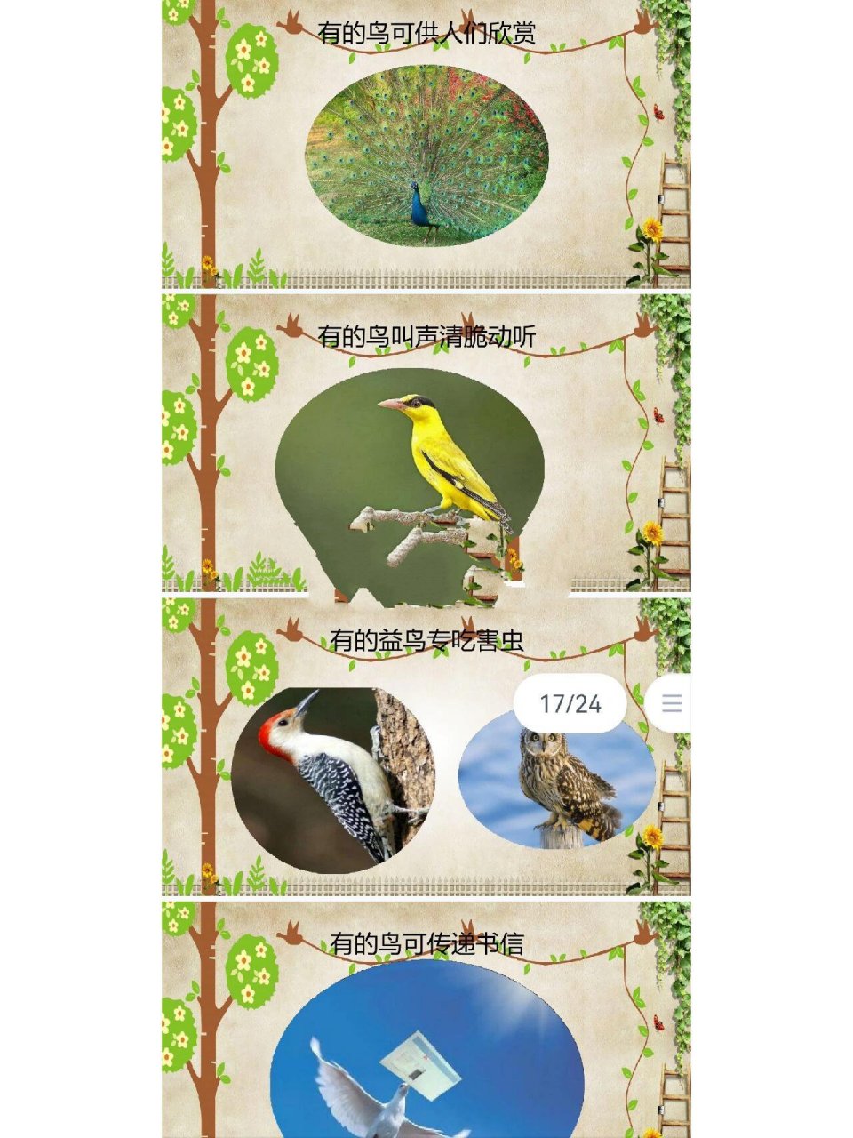 中班科学《小鸟,你好》 一,活动目标: 1,知道鸟的种类很多,尝试找出鸟