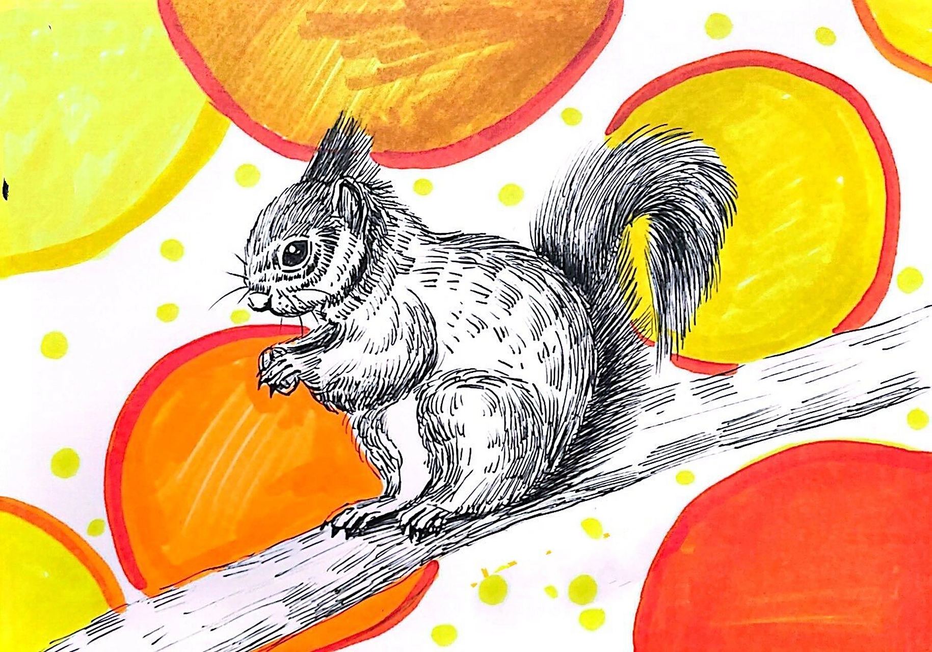 写生线描 动物系列 小松鼠 7岁左边