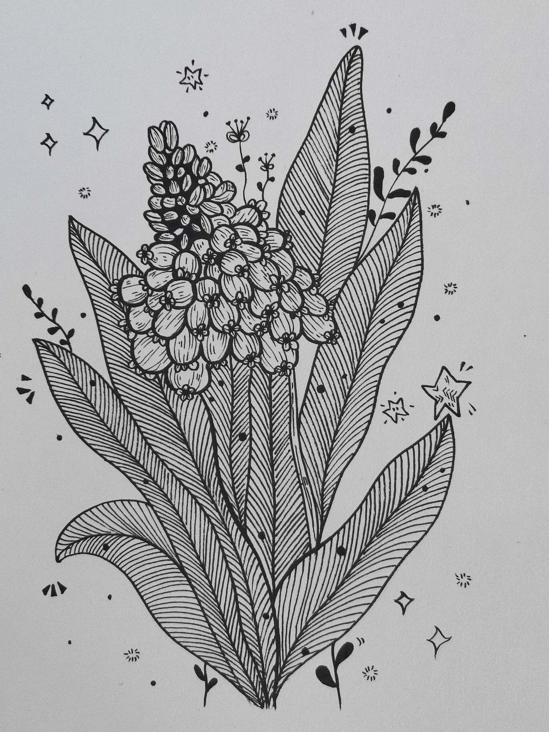 50张黑白装饰画素材 || 第九张 加油,坚持 花应该自由且热烈的盛放