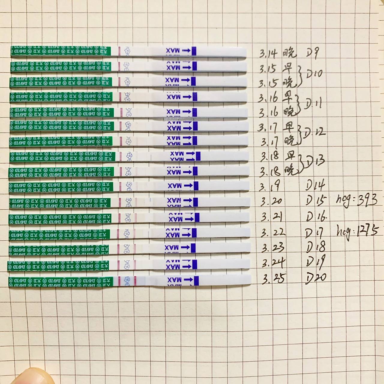 高冷大卫终于在pl20天强阳了 真的要被大卫整焦虑,18号前都是早晚测