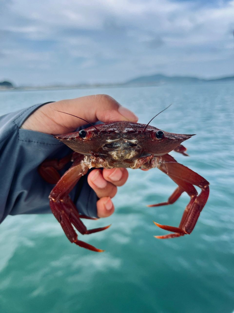 这才是平潭赶海的正确打开方式73附地点攻略 昨天带客人去平潭·瓜