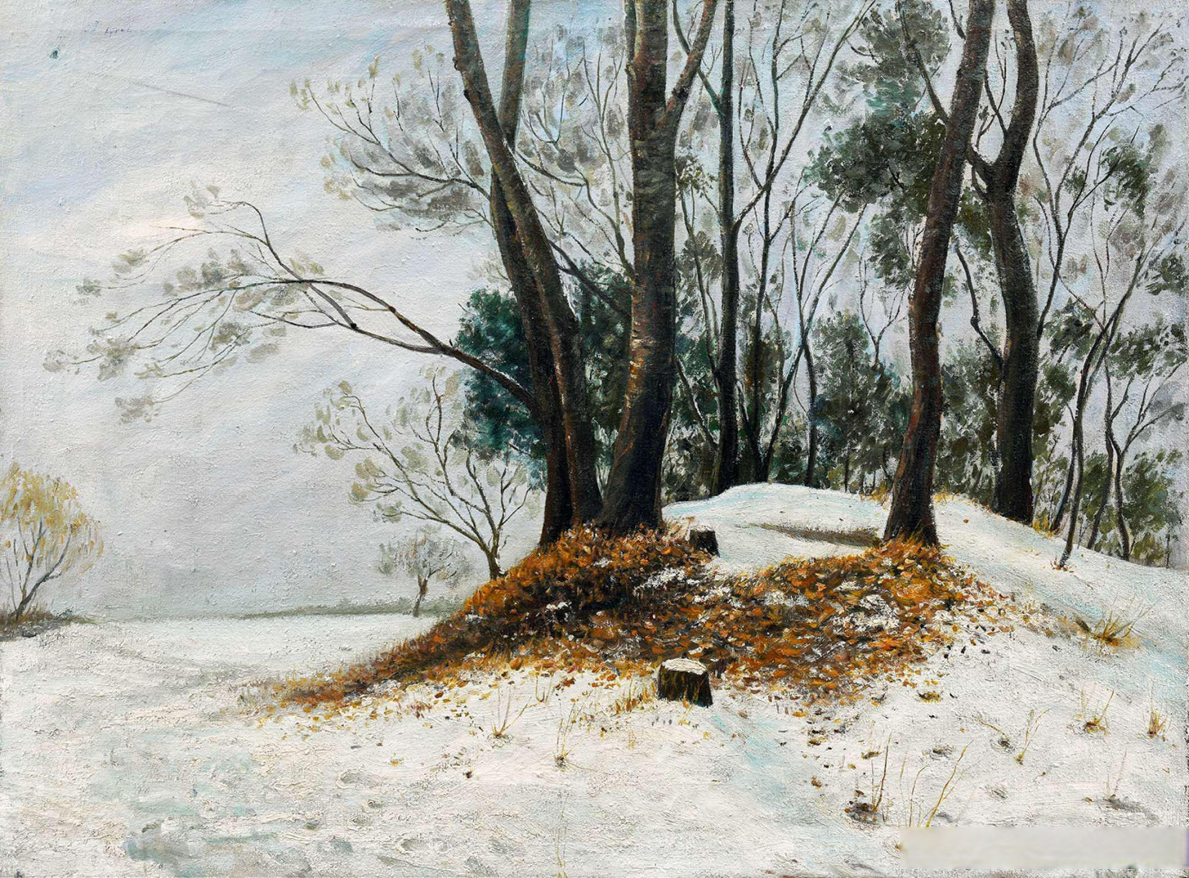 画家苏天赐风景油画